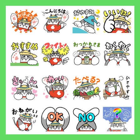 Kaneko Seeds vegetable and flower seed packets and horticultural products