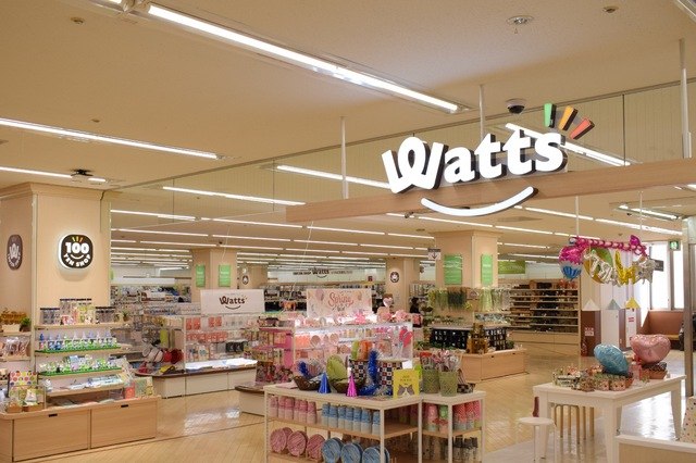 A 100-yen variety shop