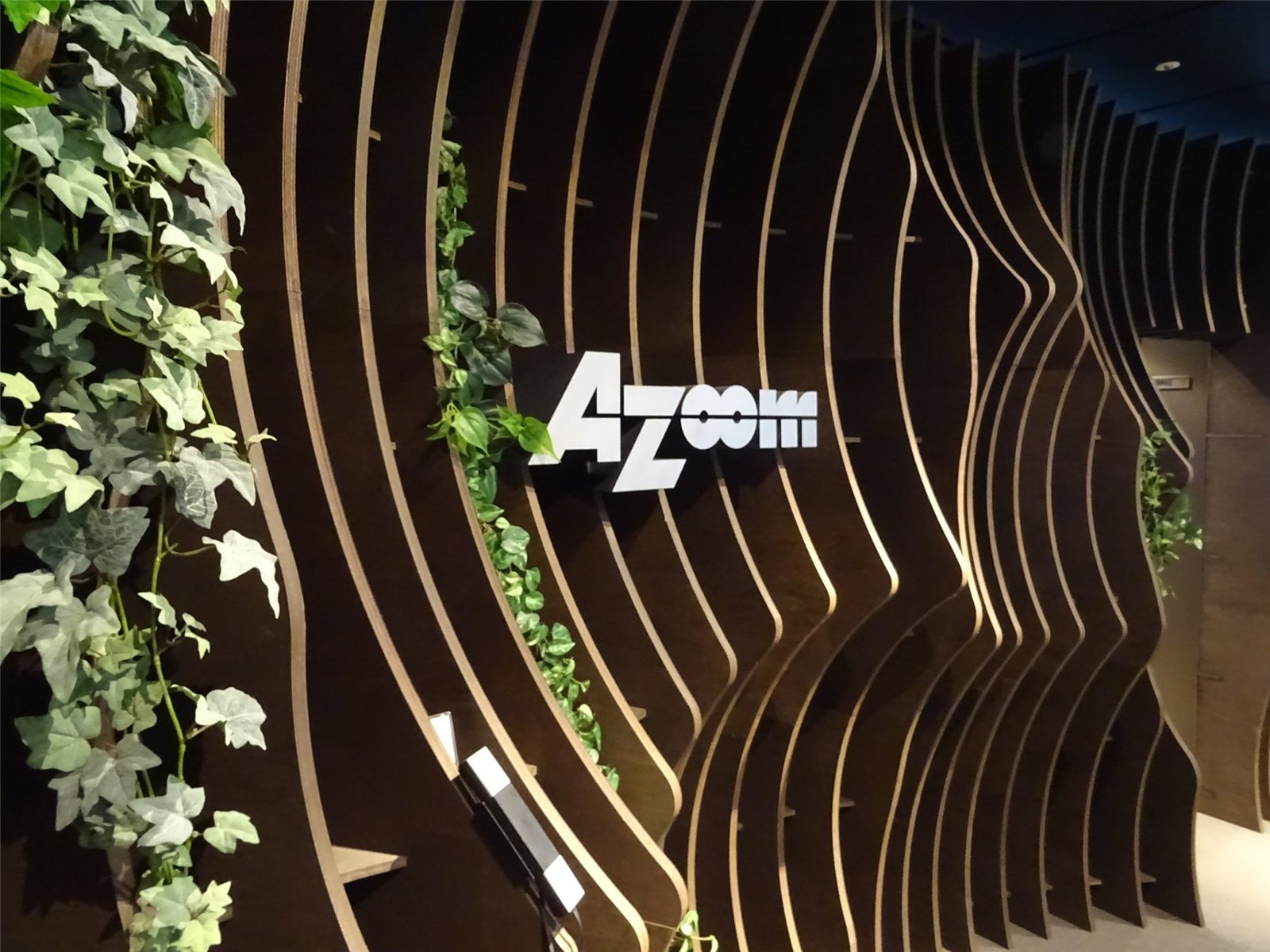 Azoom Co., Ltd.