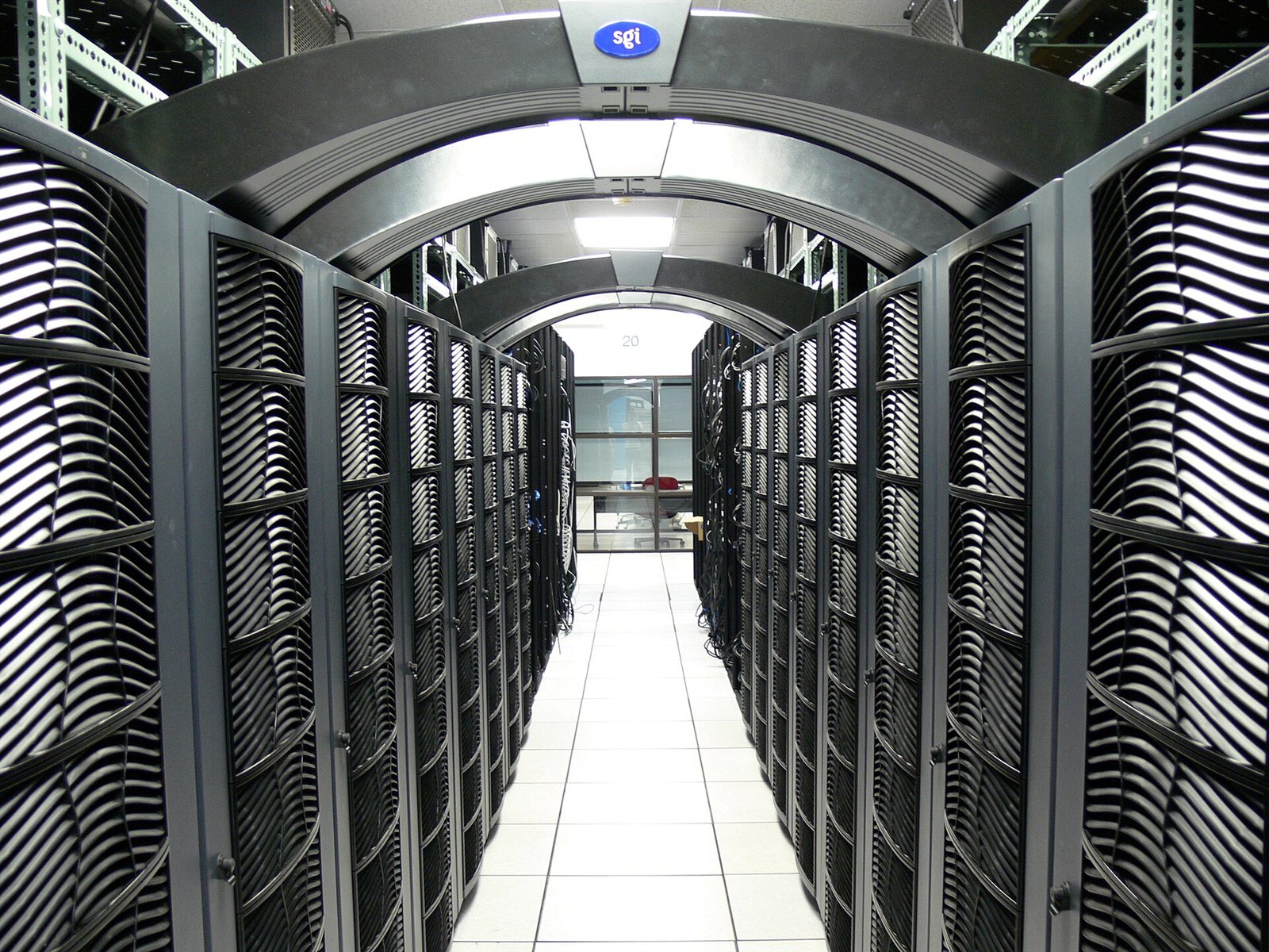 Software Service, Inc.